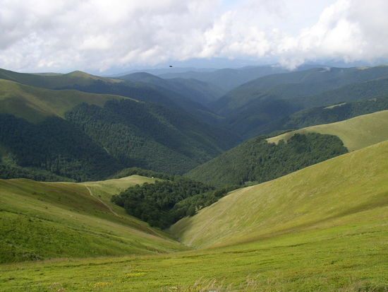 Ukraine-Carpathian_Mountains-Polonina_Borzha_Range-35.jpg